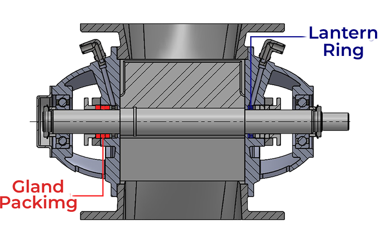 Right Image 1